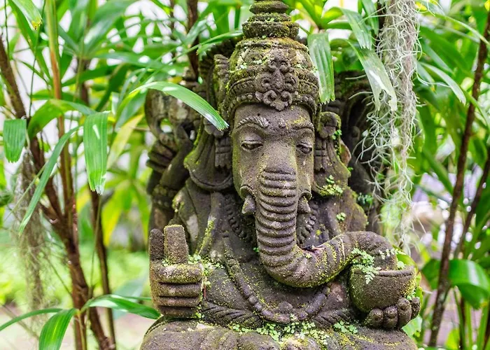 Bindi * Ubud